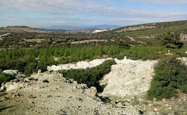 Bergama'da perlit ocağı için binlerce ağaç kesilecek