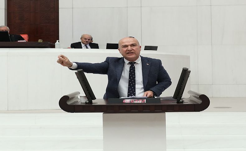 CHP'li Bakan'dan bakanlığa 'kesilen palmiye ağaçları' sitemi: Bize değil Hamza Dağ'a yanıt