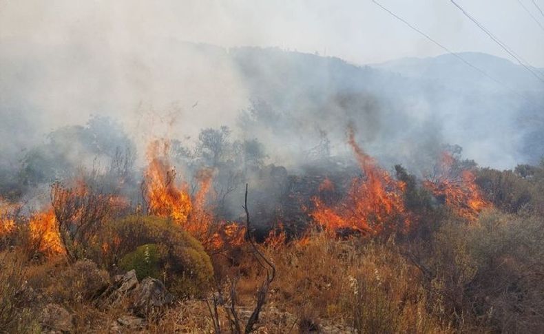 Dalaman'da yangın çıktı