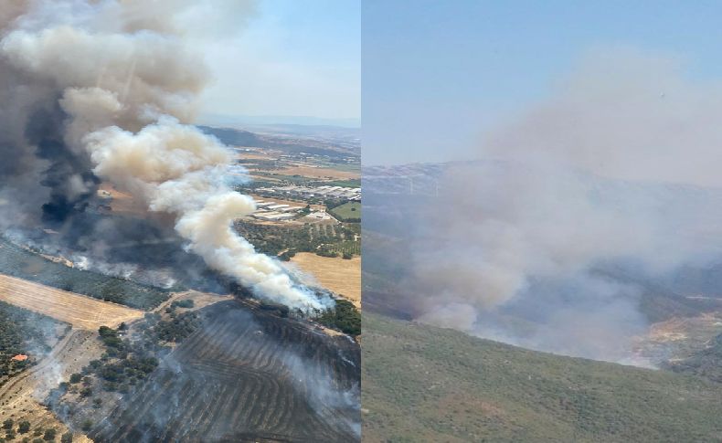 İzmir'de iki ilçede orman yangını!