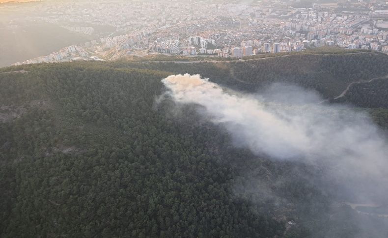 Balçova'da çıkan orman yangını kontrol altına alındı