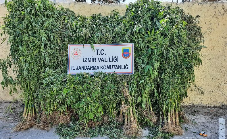 İzmir'in 10 ilçesinde uyuşturucu operasyonu