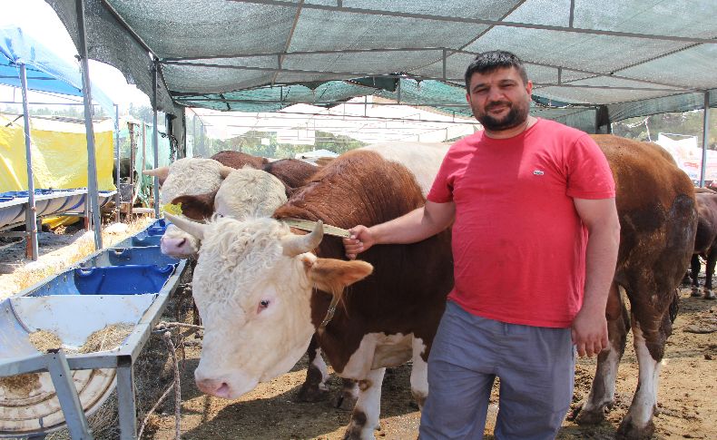 İzmir’de kurban pazarı hareketliliği başladı