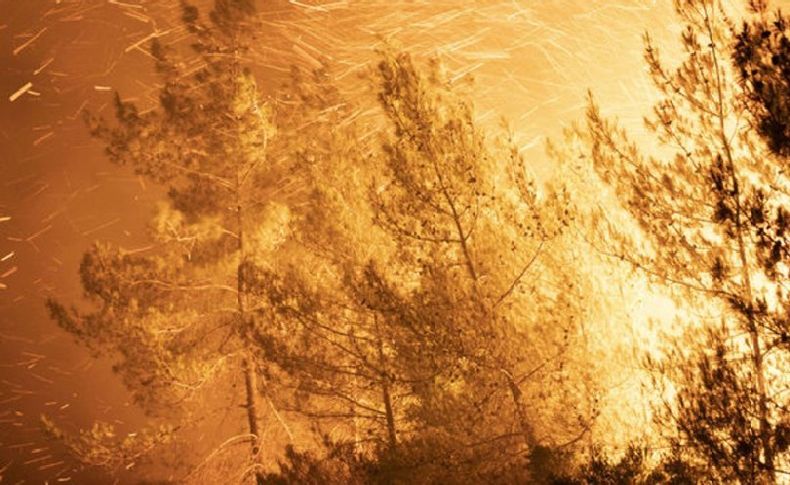 Marmaris'teki orman yangınında son durum ne? Bakan Kirişçi'den açıklama...