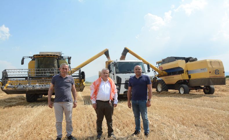 Torbalı Belediyesi buğday hasadına başladı