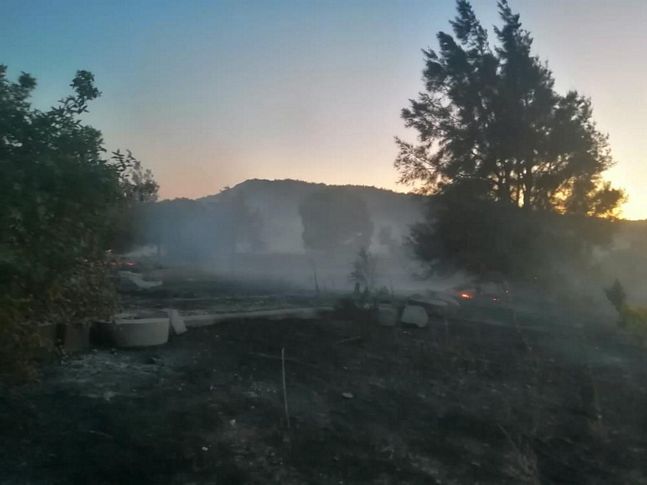 Aliağa’da ormanı “keyfi” için yakan şüpheli tutuklandı