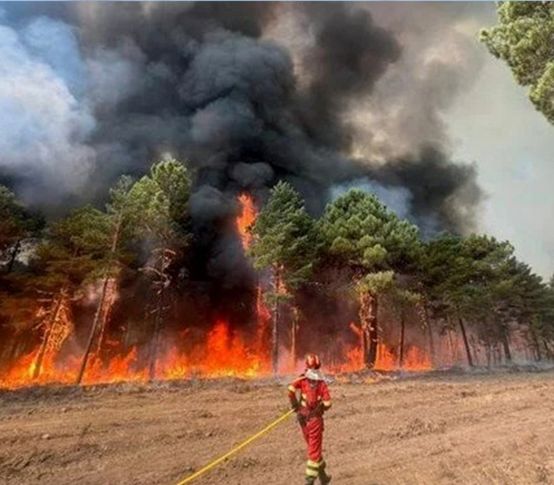 Avrupa yangınlarla mücadele ediyor