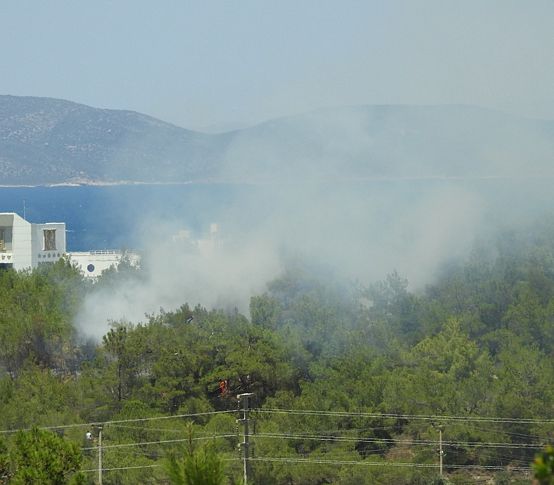 Çeşme'de çıkan yangın kısa sürede kontrol altına alındı