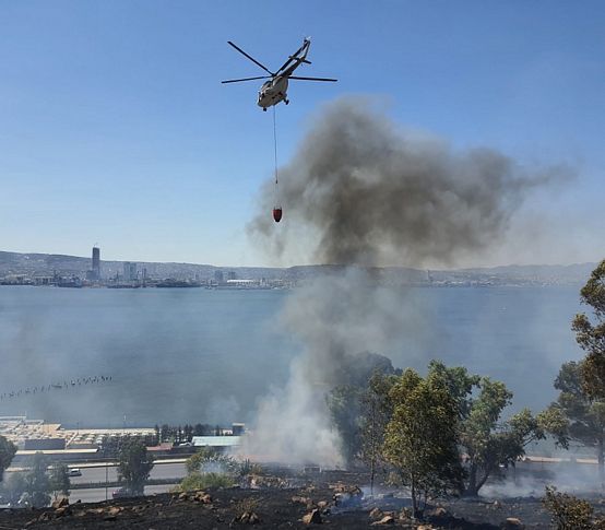 Bayraklı'da otluk alanda yangın paniği