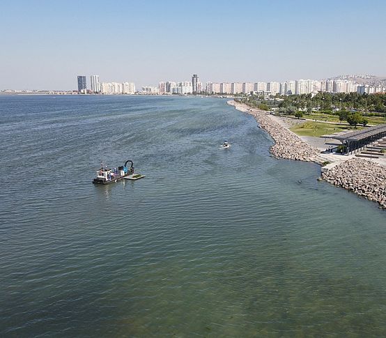 O bölgede deniz marulu kabusu sona erdi