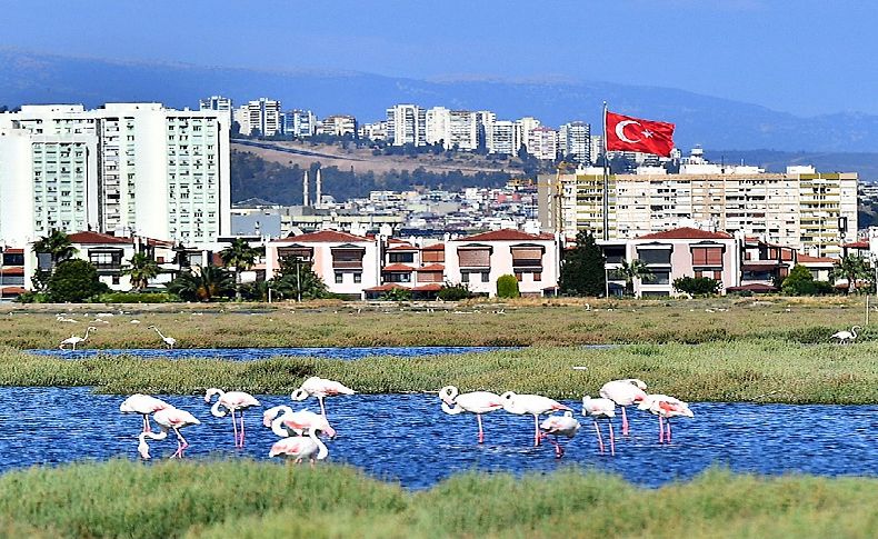 Flamingolar ziyaretçileri büyülüyor