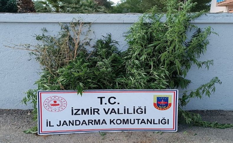 İzmir'de uyuşturucu baskınları: 27 şüpheli yakalandı