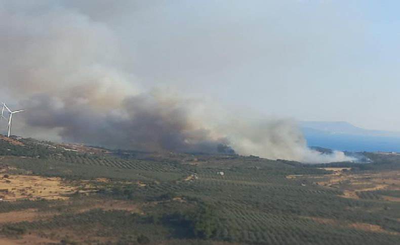 İzmir’de ziraat arazisindeki yangın kontrol altına alındı
