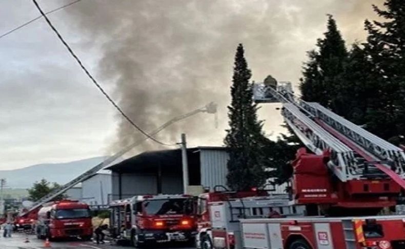 Kontrol altına alma çalışmaları sürüyor: İzmir'de fabrika yangını
