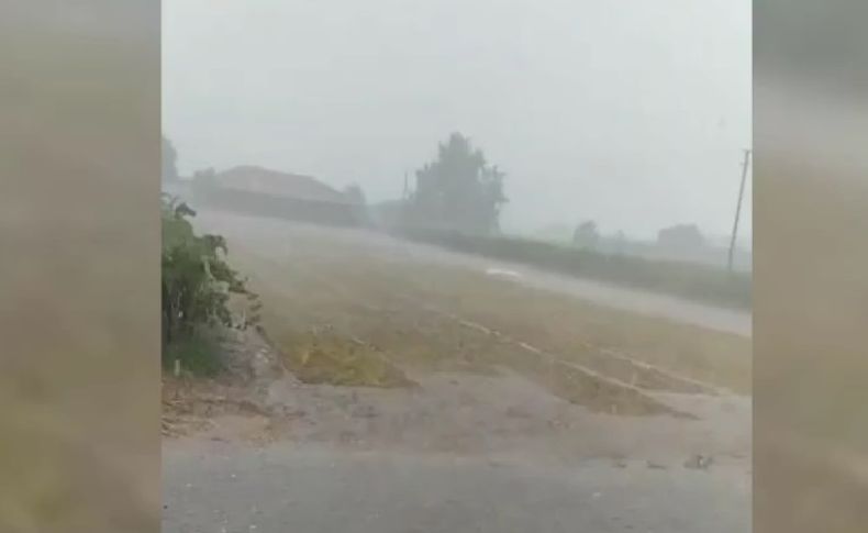 Manisa'daki üzüm sergilerini yağmur ve dolu vurdu