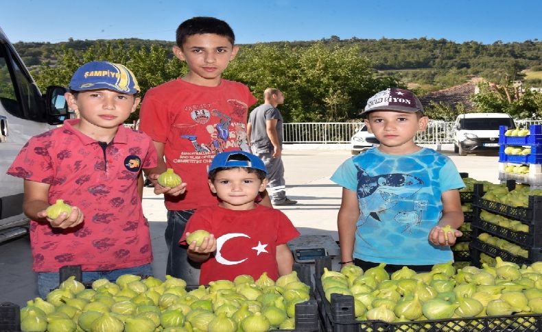 Menemen'de incir tadında festival: Başkan Vekili Pehlivan'dan davet