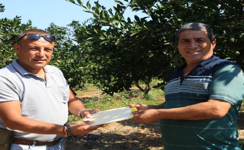 Güzelbahçe'de üreticiye destek sürüyor