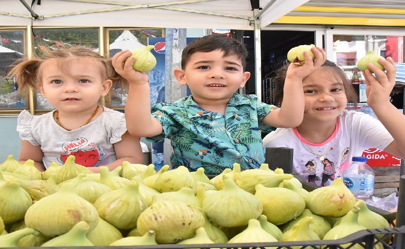 Torbalı'da Bardacık İnciri Festivali heyecanı