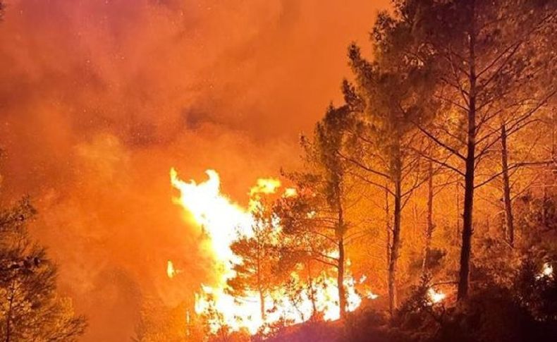 303 konut boşaltıldı! Mersin'de yangın sürüyor!