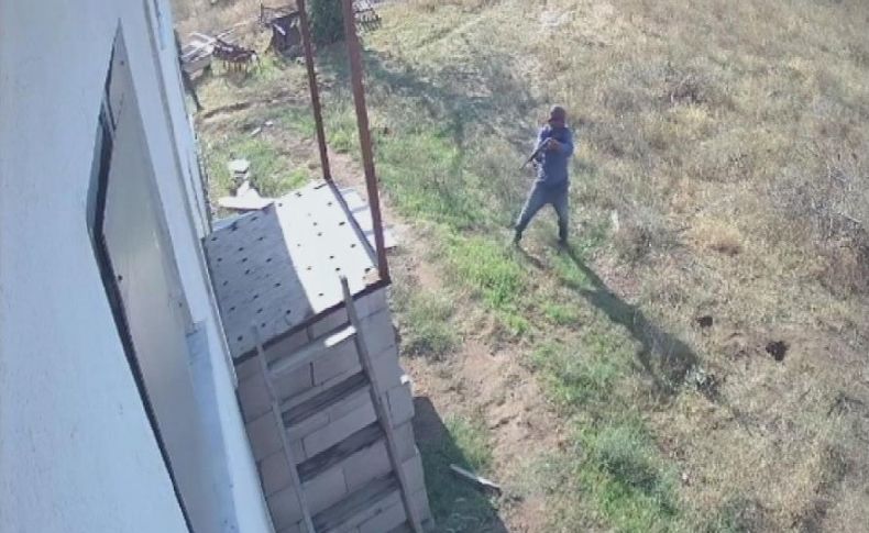 Çiftlikte dehşet saçtılar: 2 köpeği tüfekle katledip, 2 köpeği de zehirlediler