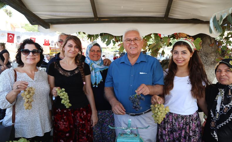 Kavacık Üzüm Festivali yarın başlıyor