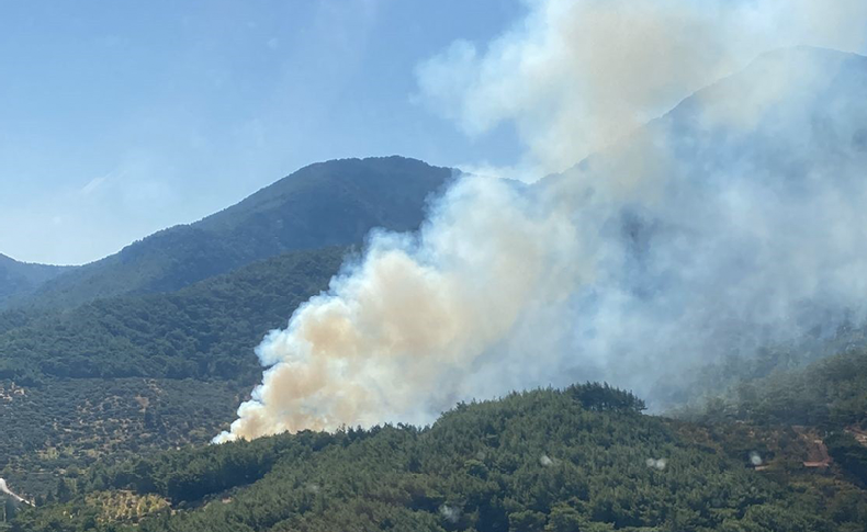 Kemalpaşa'daki orman yangını kontrol altına alındı