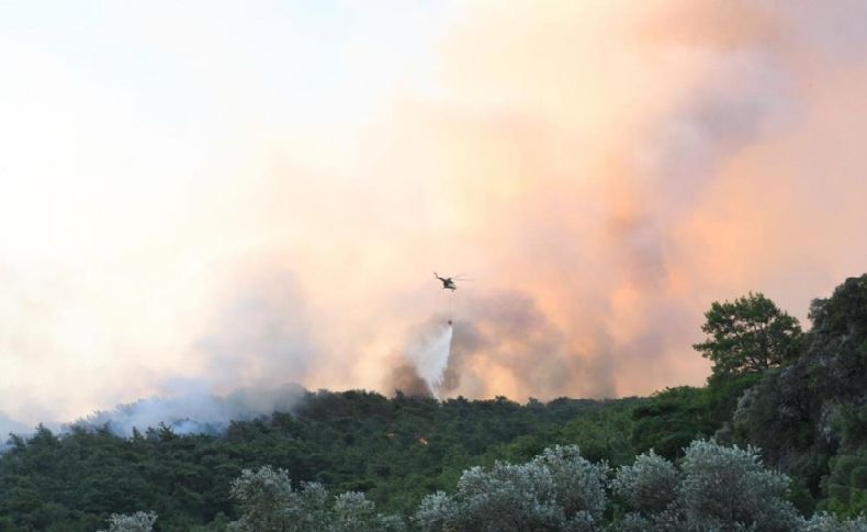 Muğla'da yangın 6 saatte kontrol altına alındı