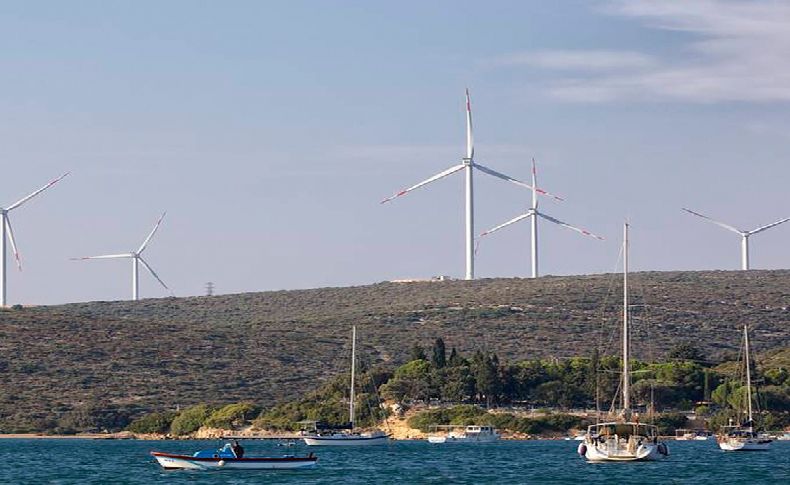 Sığacık’ta RES için ağaç talanı