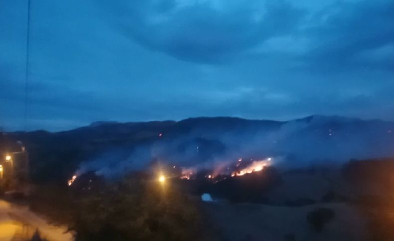 İzmir'deki orman yangını kontrol altına alındı