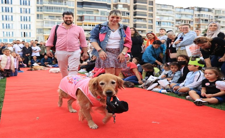 Patilerin Festivali'nden önemli mesaj: Bu gezegen hepimizin