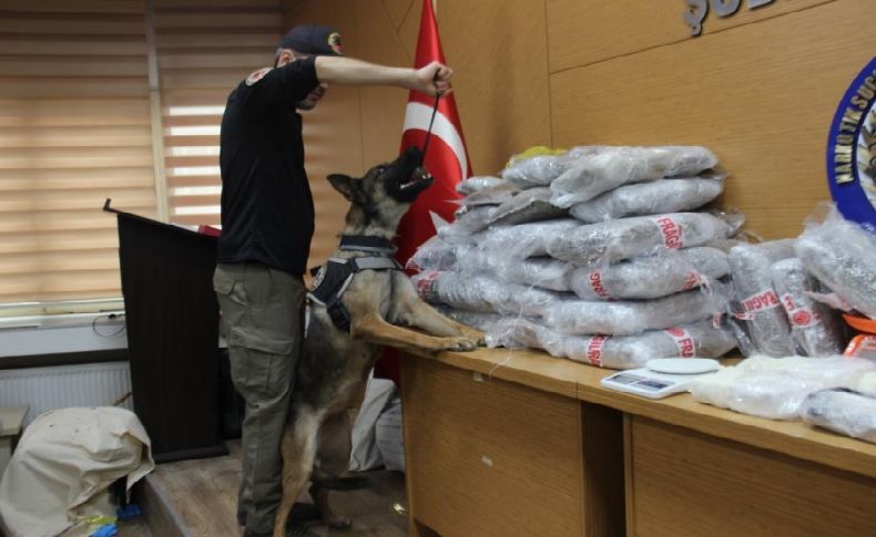 İzmir polisinden eş zamanlı operasyon: Un çuvalı deposunda uyuşturucu