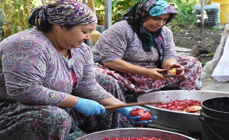 Nar ekşisinin zahmetli yolculuğu başladı