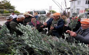 Bornovalı çiftçiye 10 bin fidan