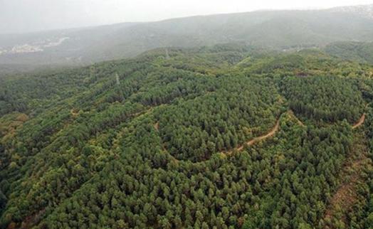 'Muğla’nın ormanlarının yüzde 60’ına maden arama ruhsatı vermişler'