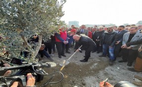 Buca Cezaevi için 'zeytin ağaçlı' eylem yola çıktı