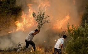 Büyük Manavgat orman yangını davasında karar