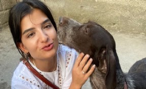 Denizli'de vahşet! Kulübesinde bağlı köpeği yaktılar