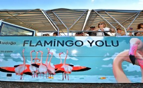 Flamingo Yolu turu 4 binin üzerinde ziyaretçi ağırladı