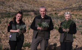 Gerence'den yanık kokusu yerine adaçayı ve kekik kokuları geliyor