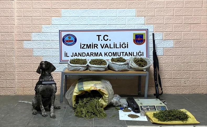 İzmir’de zehir tacirlerine ‘kökünü kurutma operasyonu: 59 gözaltı