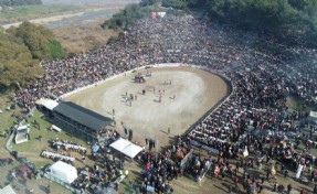 On binler Selçuk Deve Güreşleri Festivali'nde buluştu