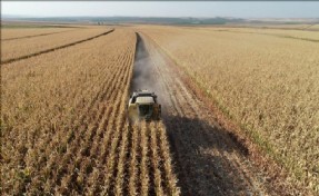Tarım ÜFE yıllık bazda yüzde 151 arttı