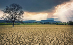 Ülkemiz iklim krizi ve kuraklık tehdidi altında