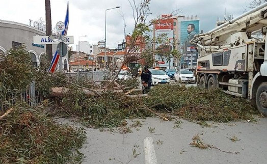 İzmir'de fırtına hayatı felç etti