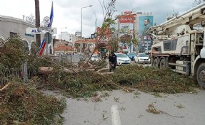 İzmir'de fırtına hayatı felç etti