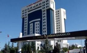 Kara avcılığı ikinci bir duyuruya kadar durduruldu