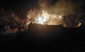 İzmir’de sobadan çıkan yangında bir ev alev alev yandı