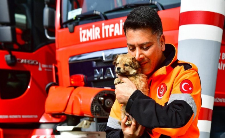 İzmirli itfaiyeci deprem bölgesinden gelen köpeğe yuvasını açtı