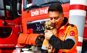 İzmirli itfaiyeci deprem bölgesinden gelen köpeğe yuvasını açtı