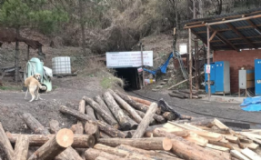 Bolu'da maden ocağında göçük: 7 işçi yaralı!